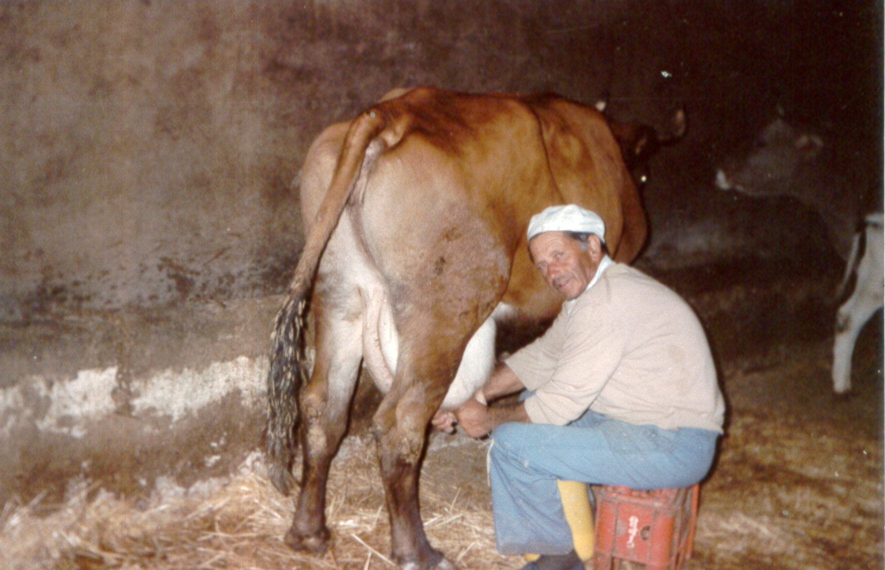 Nuestro abuelo y la historia familiar de Quesos La Vega